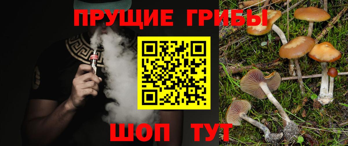 ГЕРОИН Кириши