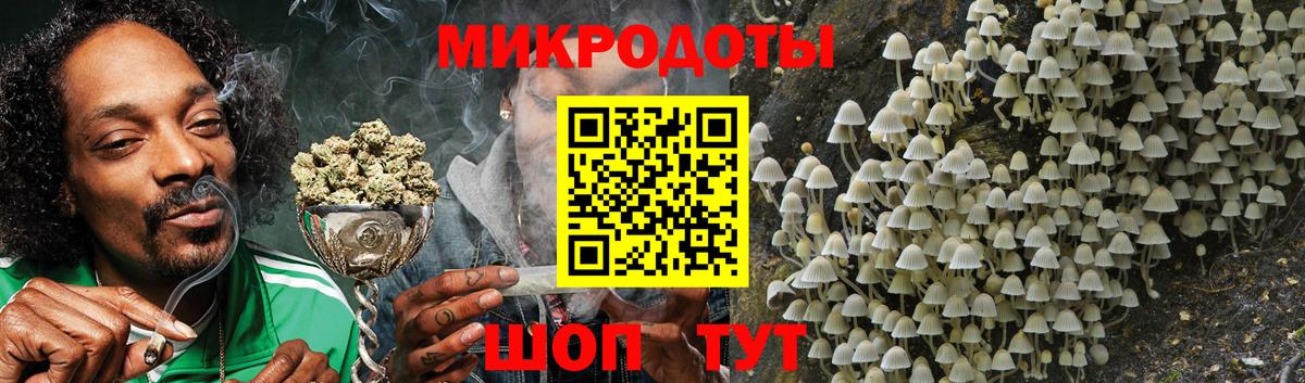 Галлюциногенные грибы Magic Shrooms  Вход с VPN  Кириши  Псилоцибиновые грибы Cubensis 
